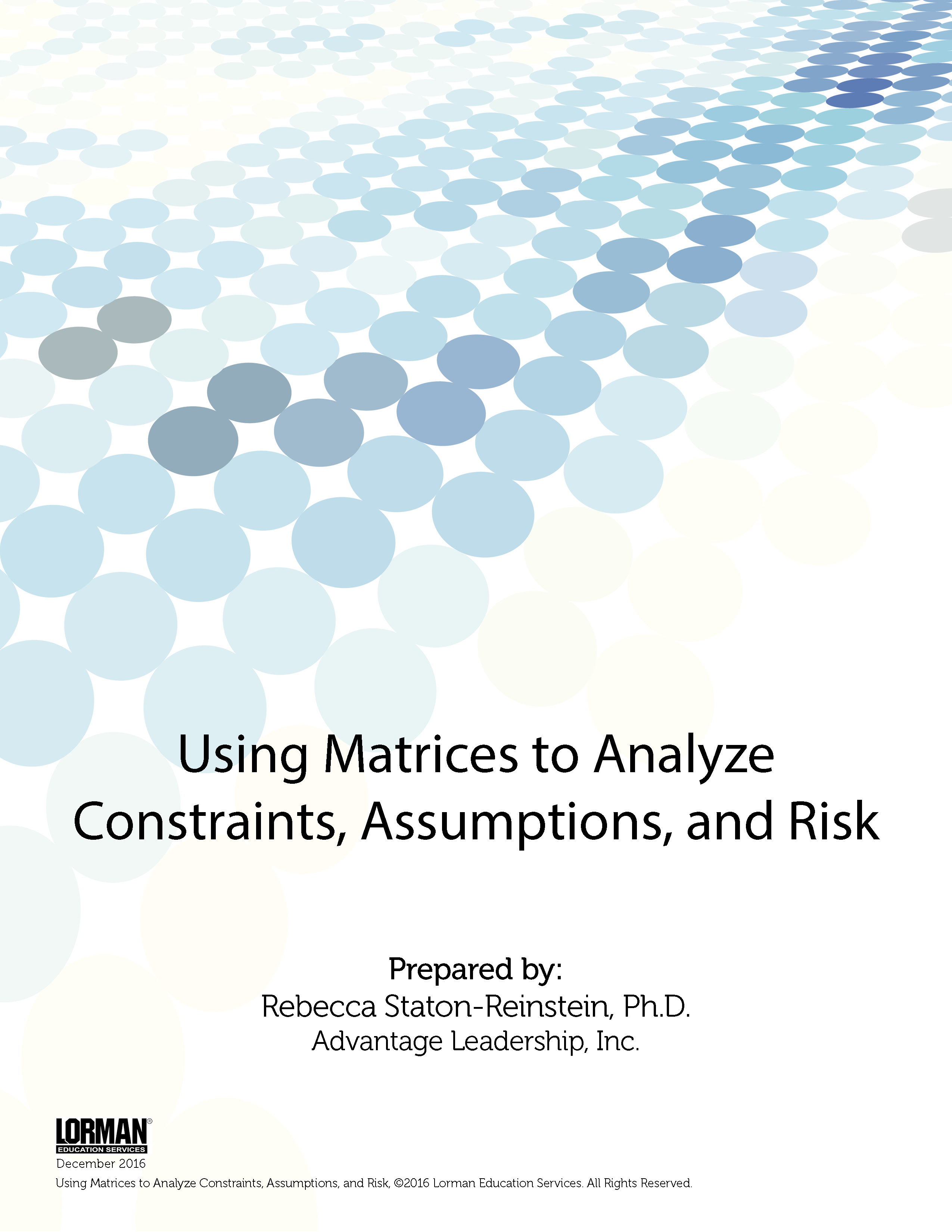 Using Matrices to Analyze Constraints, Assumptions, and Risk